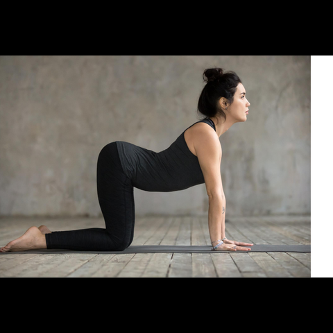 services library services library